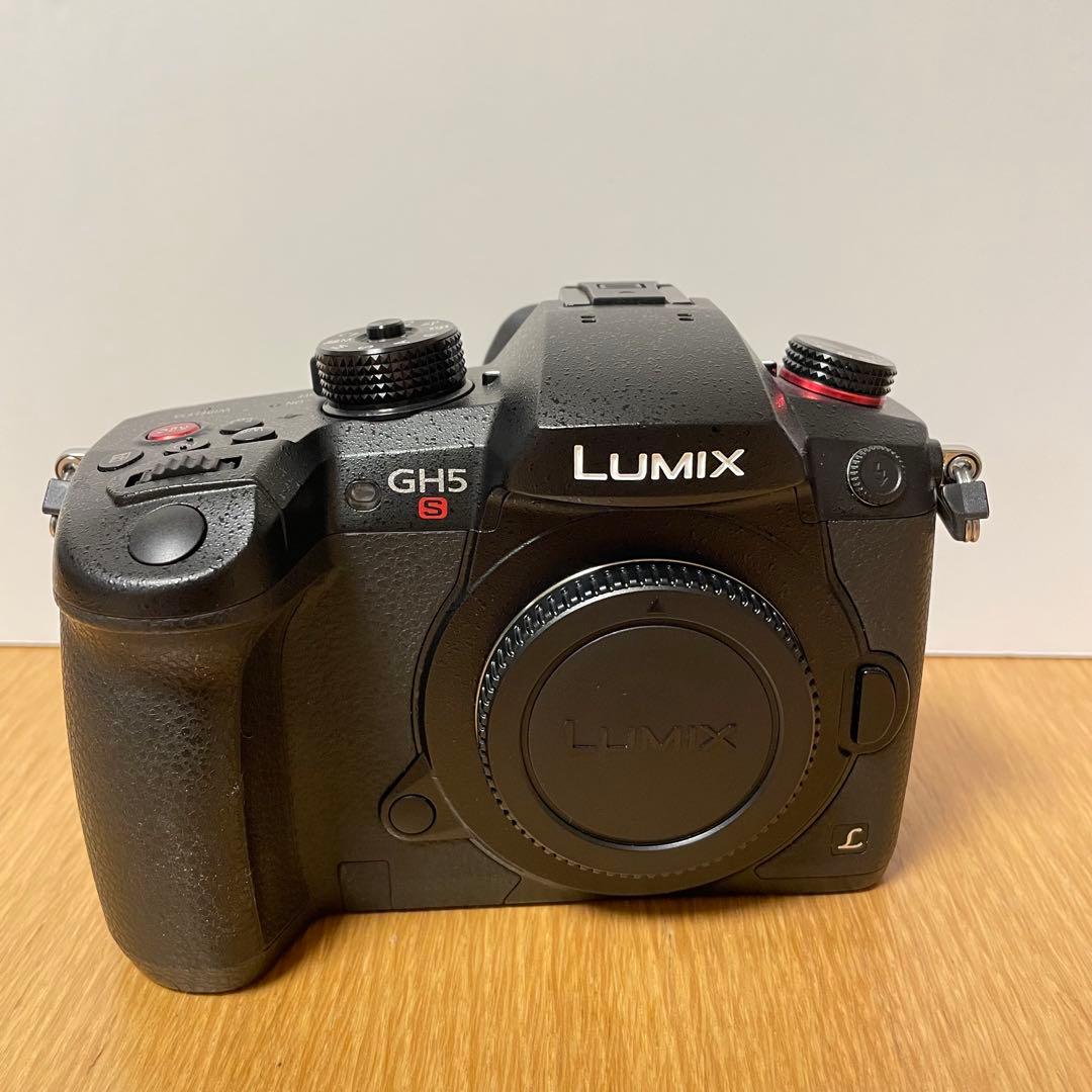 専用　　LUMIX DC-GH5S