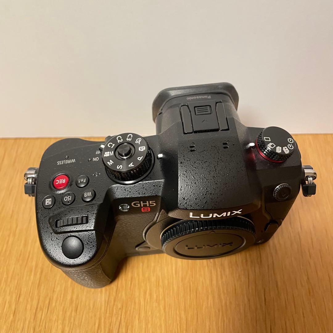 専用　　LUMIX DC-GH5S