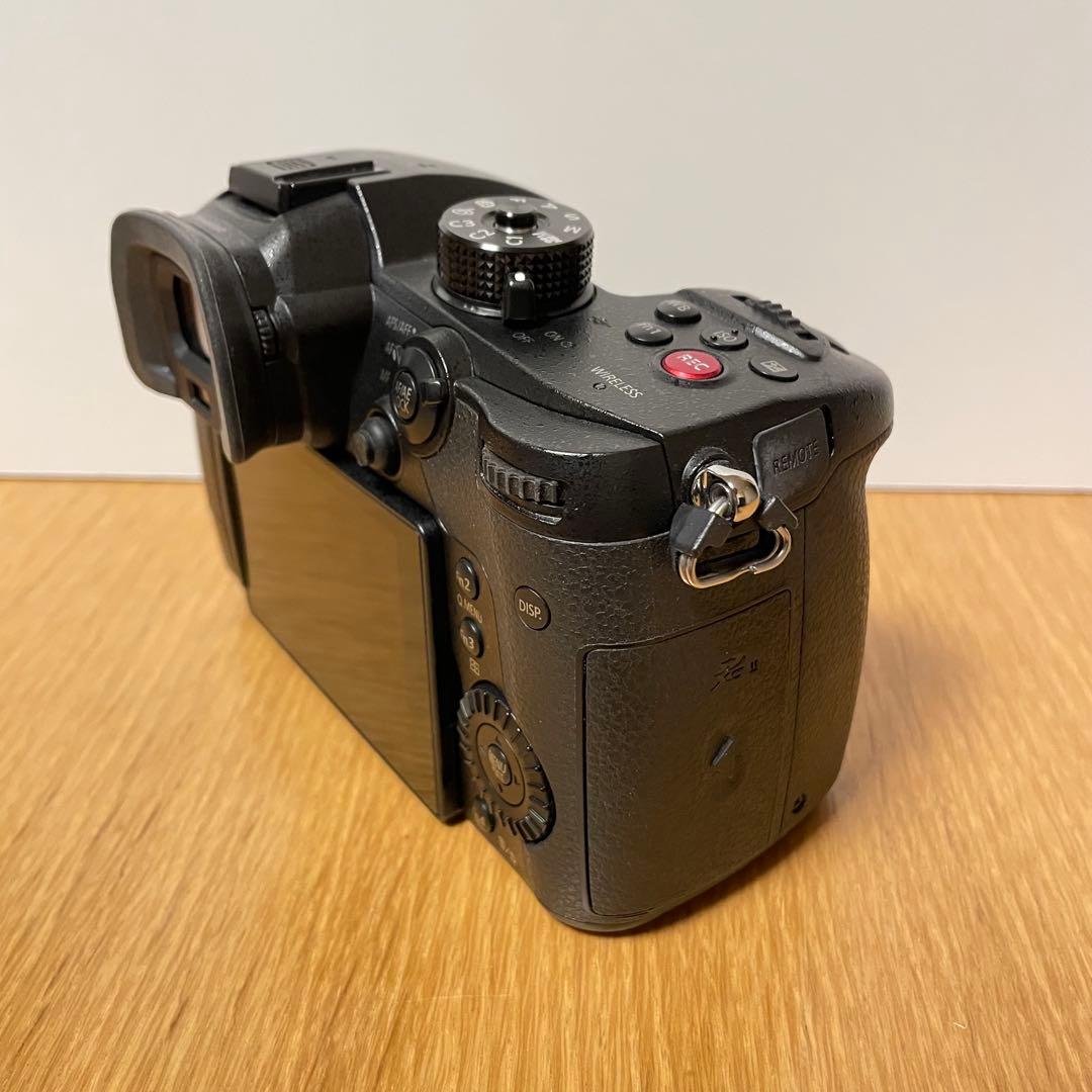 専用　　LUMIX DC-GH5S