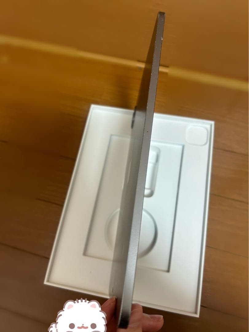 Apple iPad Pro 11インチ シルバー 128gb 本体 ジャンク品