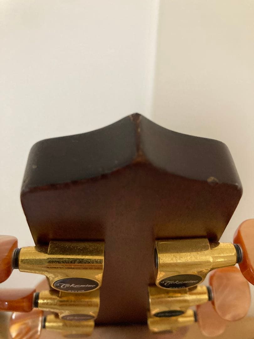 Takamine タカミネ DMP012 SAS 長渕剛