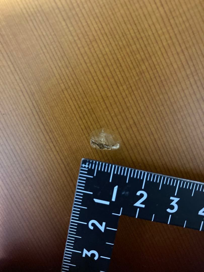 Takamine タカミネ DMP012 SAS 長渕剛