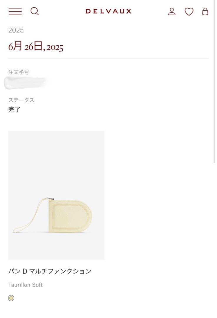 DELVAUX デルヴォー 財布 パンD マルチファンクション　イエロー