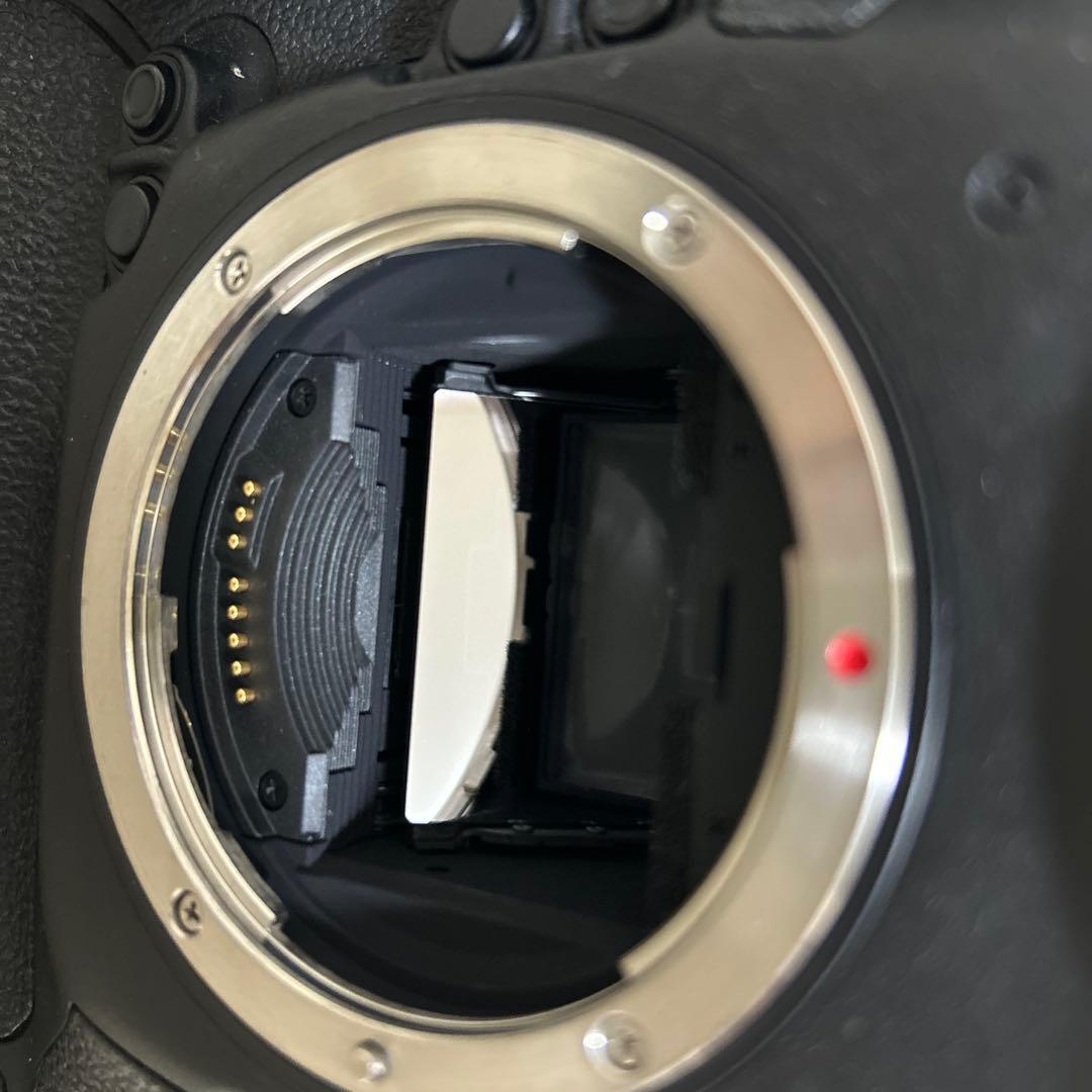Canon 1DX レリーズ61000以下