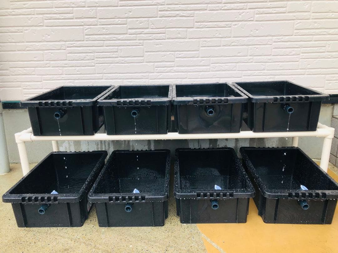 メダカ飼育ラック　ブラック　2段