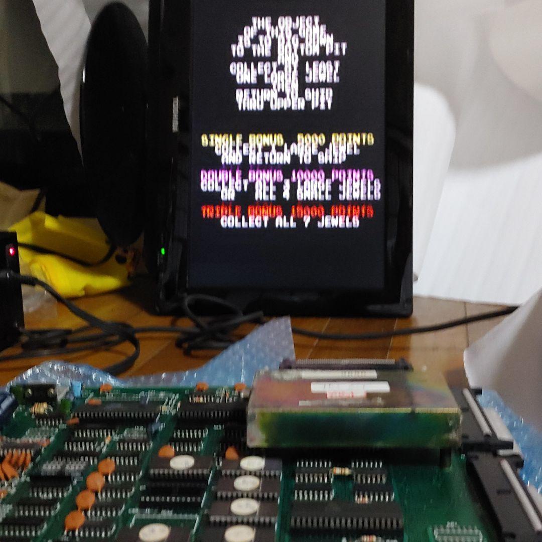 Ｓ*Ｓ様 ザ・ピット 海外版 THE Pit アーケードゲーム基板 ハーネス無し