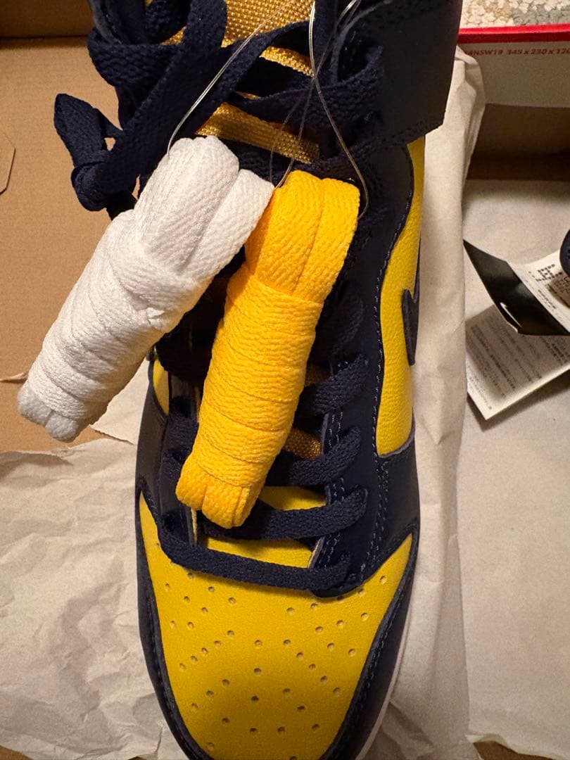 NIKE DUNK HI MICHIGAN ナイキ　ダンクハイ　ミシガン28.5