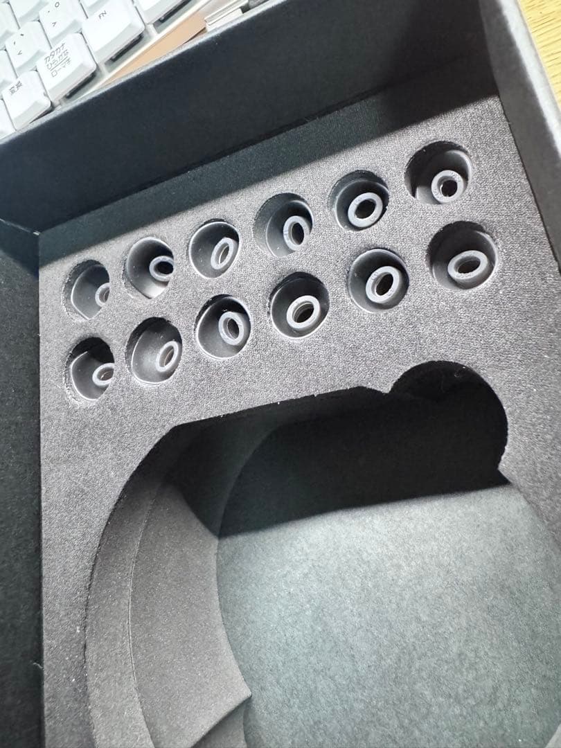 Astell&Kern AK T9iE インイヤーイヤフォン