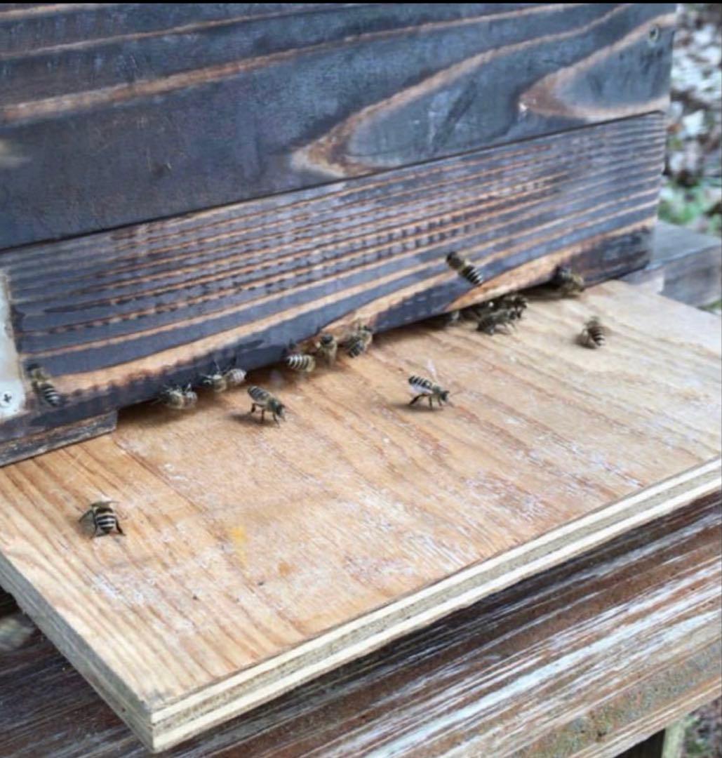 りなんてぃー 日本ミツバチ とろとろはちみつ+コムハニー 無添加抗生物質無