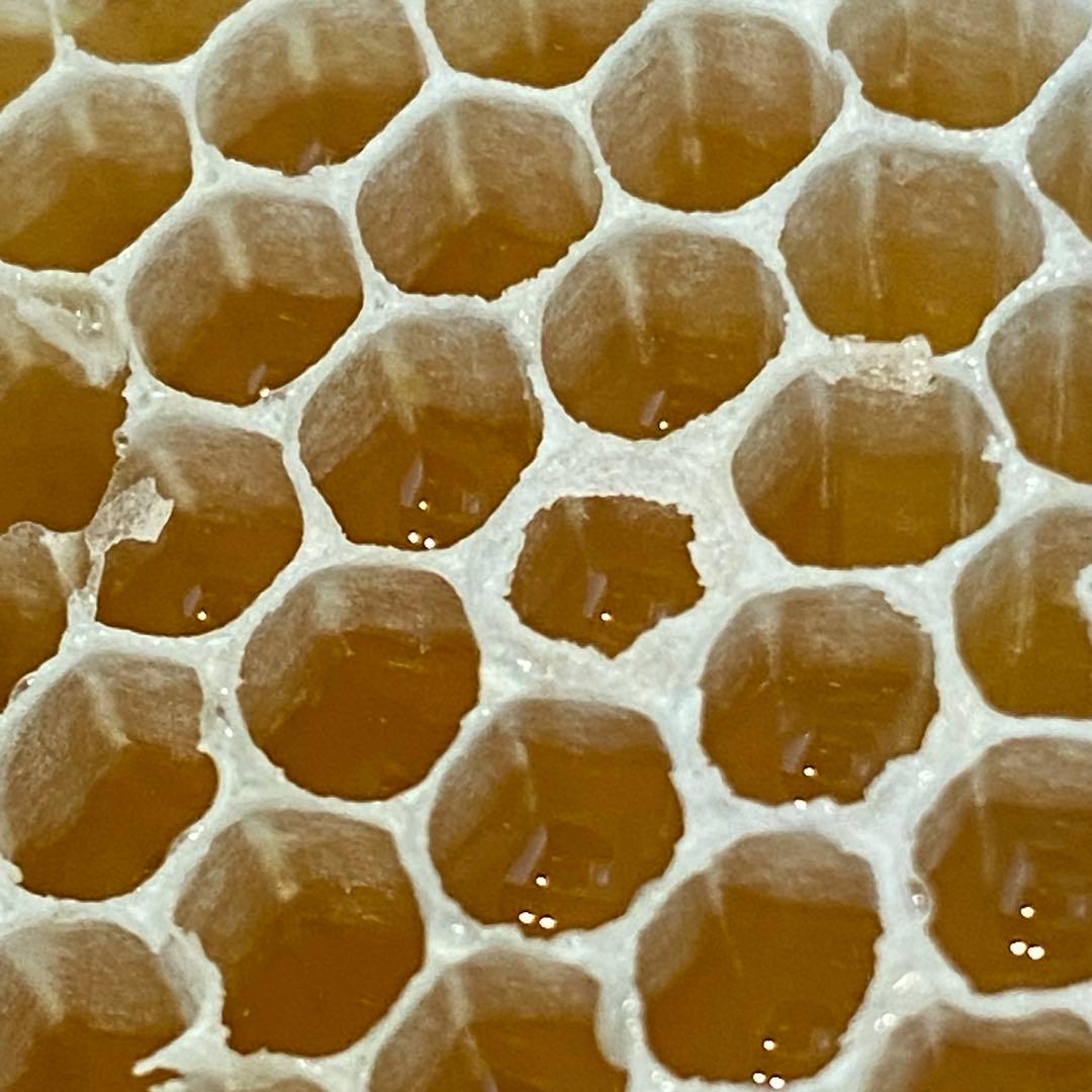 りなんてぃー 日本ミツバチ とろとろはちみつ+コムハニー 無添加抗生物質無