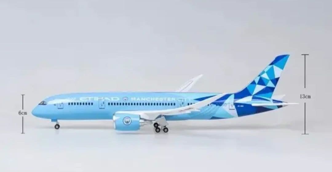 ろくさん専用プレミアリーグ／マンチェスターシティ