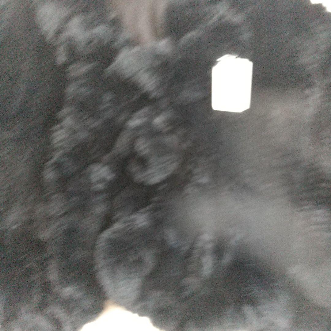 新品毛皮レッキスラビットのコートです。