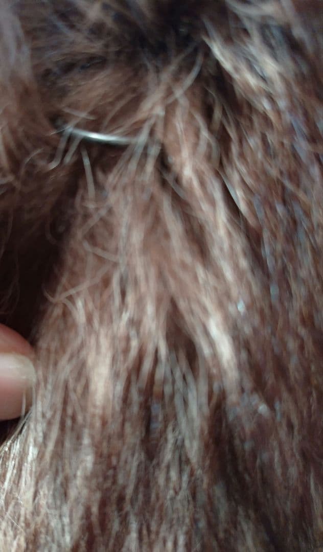 美品【Lake Fur】フォックス毛皮コート　11号