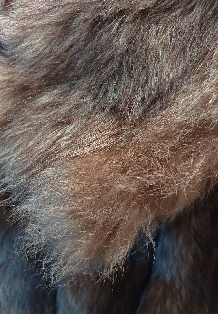 美品【Lake Fur】フォックス毛皮コート　11号