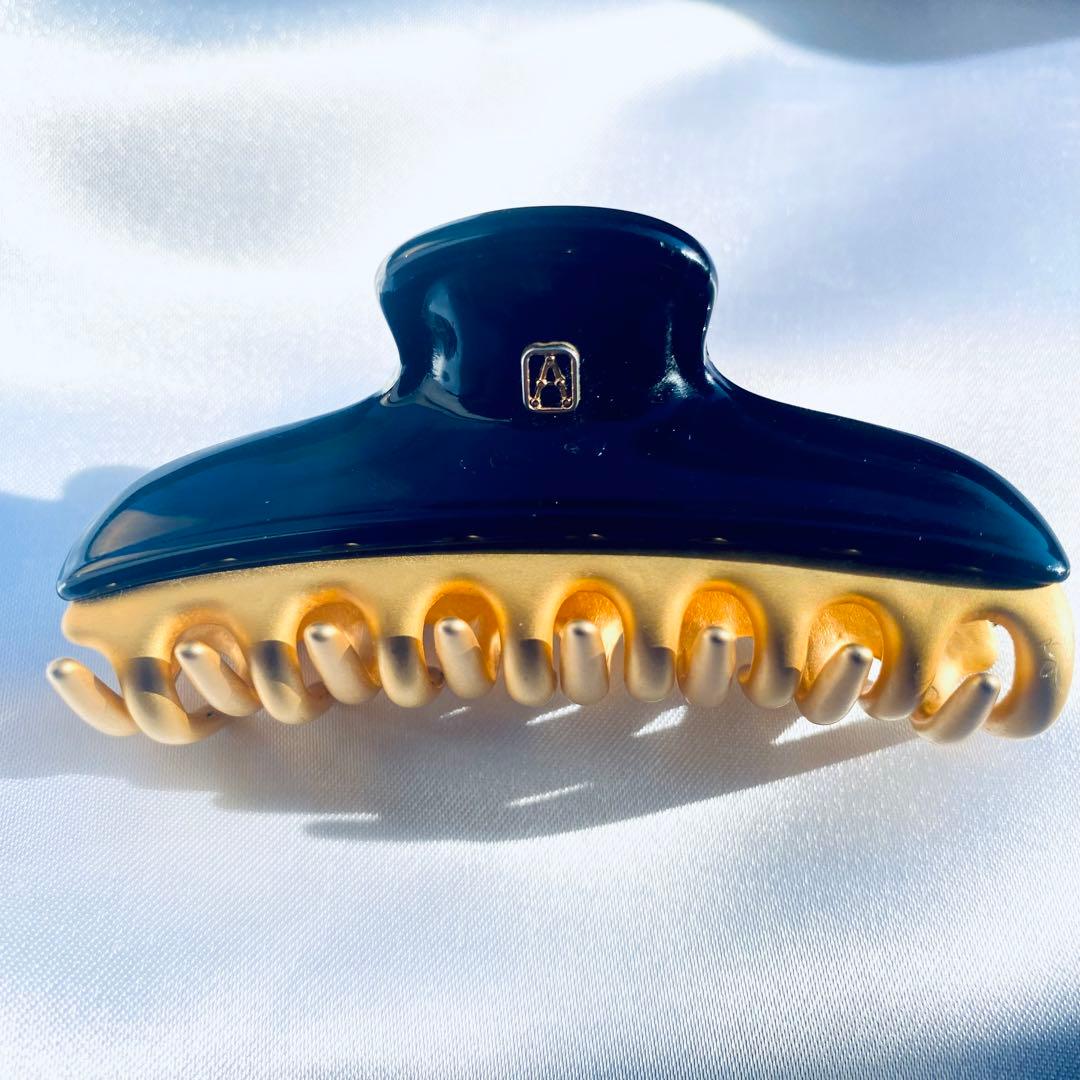 ALEXANDRE DE PARIS アレクサンドルドゥパリ S クリップ