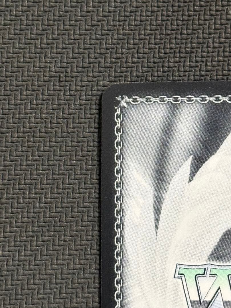 揺れ動く心　恵SPサインヴァイスシュヴァルツ