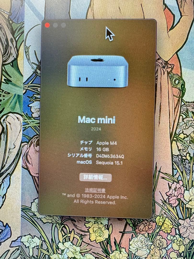 Mac mini M4 256GB + MagicMouse3 （箱無）