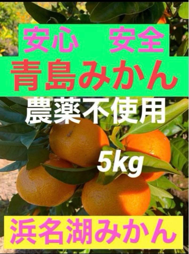 M66.専用品　農薬不使用 浜名湖みかん5種類ミックス30kg 安心　安全