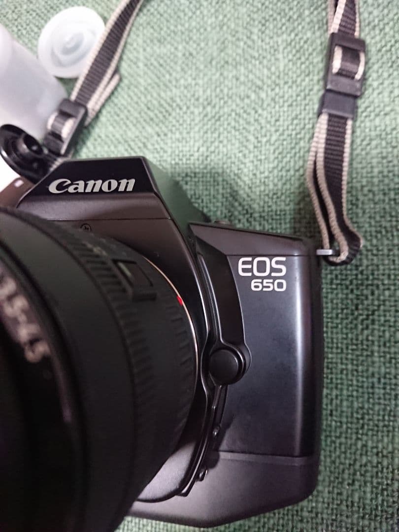 Canon EOS650, SpeedLite420EZ,カメラbag