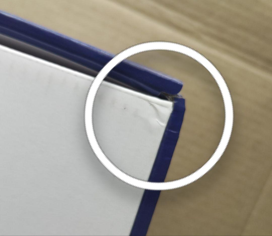 QQ1 プロテインスキマー