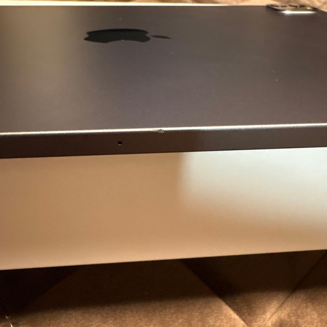 iPad Pro 11インチ 256GB SIMフリー