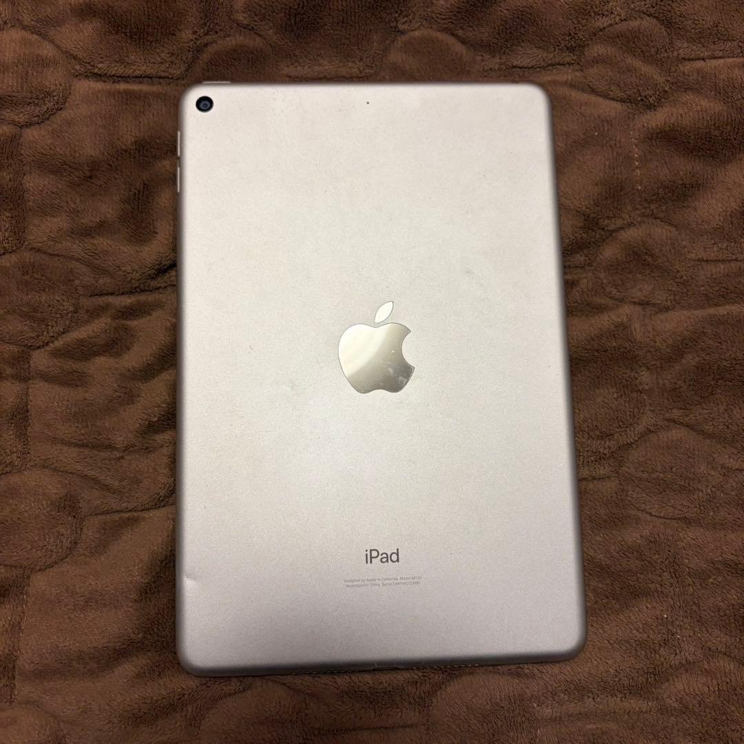 ナ*）様 iPad mini 第5世代 WiFi 256GB 付属品あり