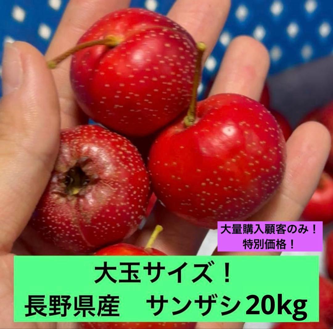 長野県産 サンザシ 大玉サイズ 20kg