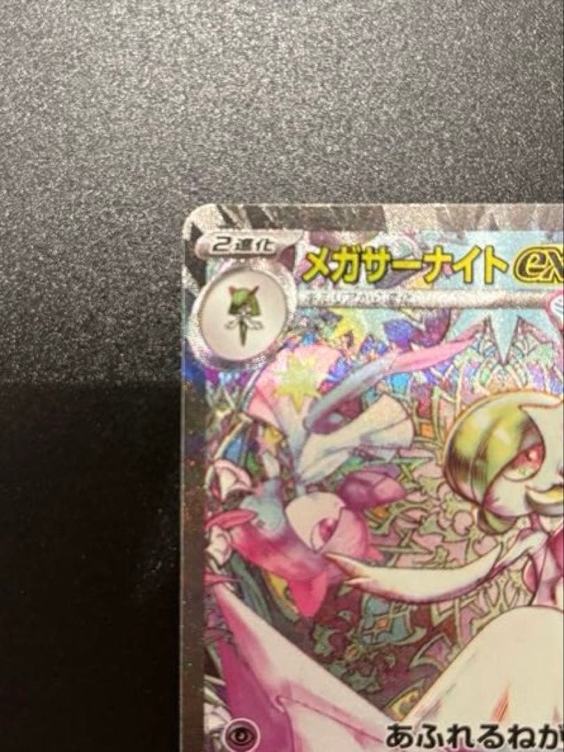 いぬさん専用　　　 メガサーナイトEX SAR