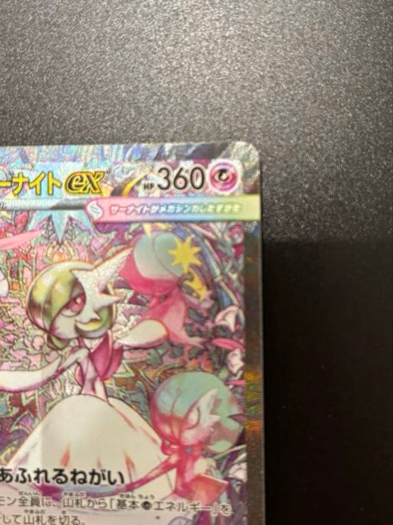 いぬさん専用　　　 メガサーナイトEX SAR