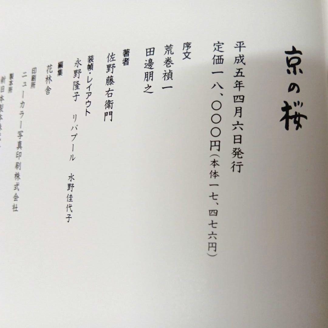 京の桜　佐野藤右衛門