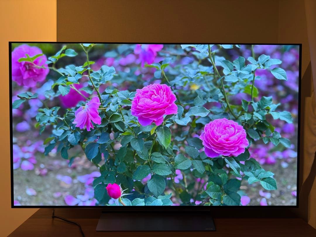 LG 55V型 4K有機ELテレビ OLED55C3PJA