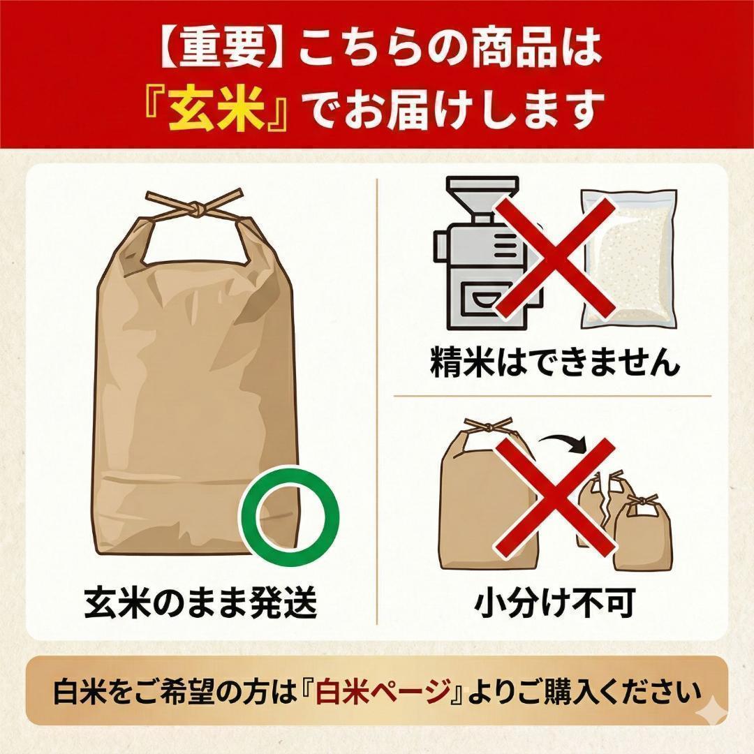 新米 令和7年度 埼玉県産 にじのきらめき 玄米 30kg 1袋 未検査米