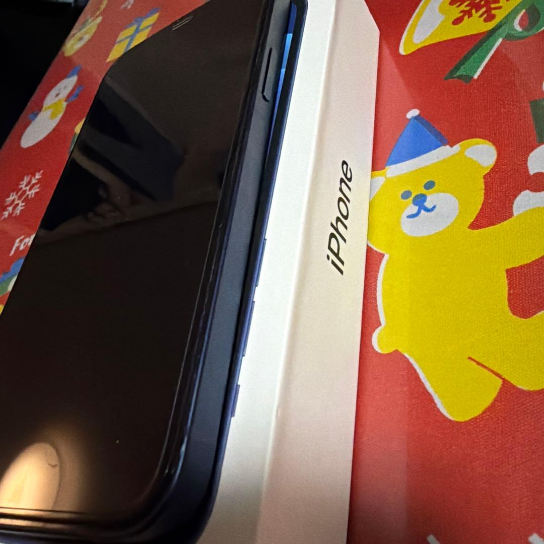 Apple iPhone 12 ブルー 本体 充電ケーブル付き　中古