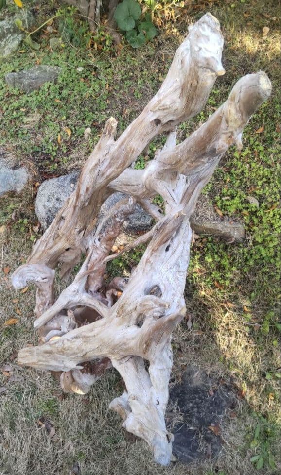 バードアスレチック　流木　インコ　鳥用止まり木