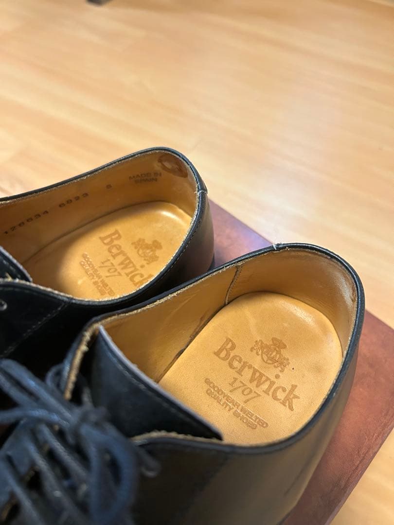 靴 Berwick 4558 UK5