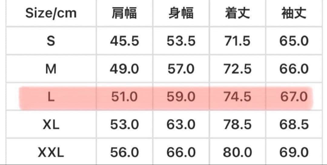 Carhartt WIP ジャケット　ミシガンコート　L カーハート wip