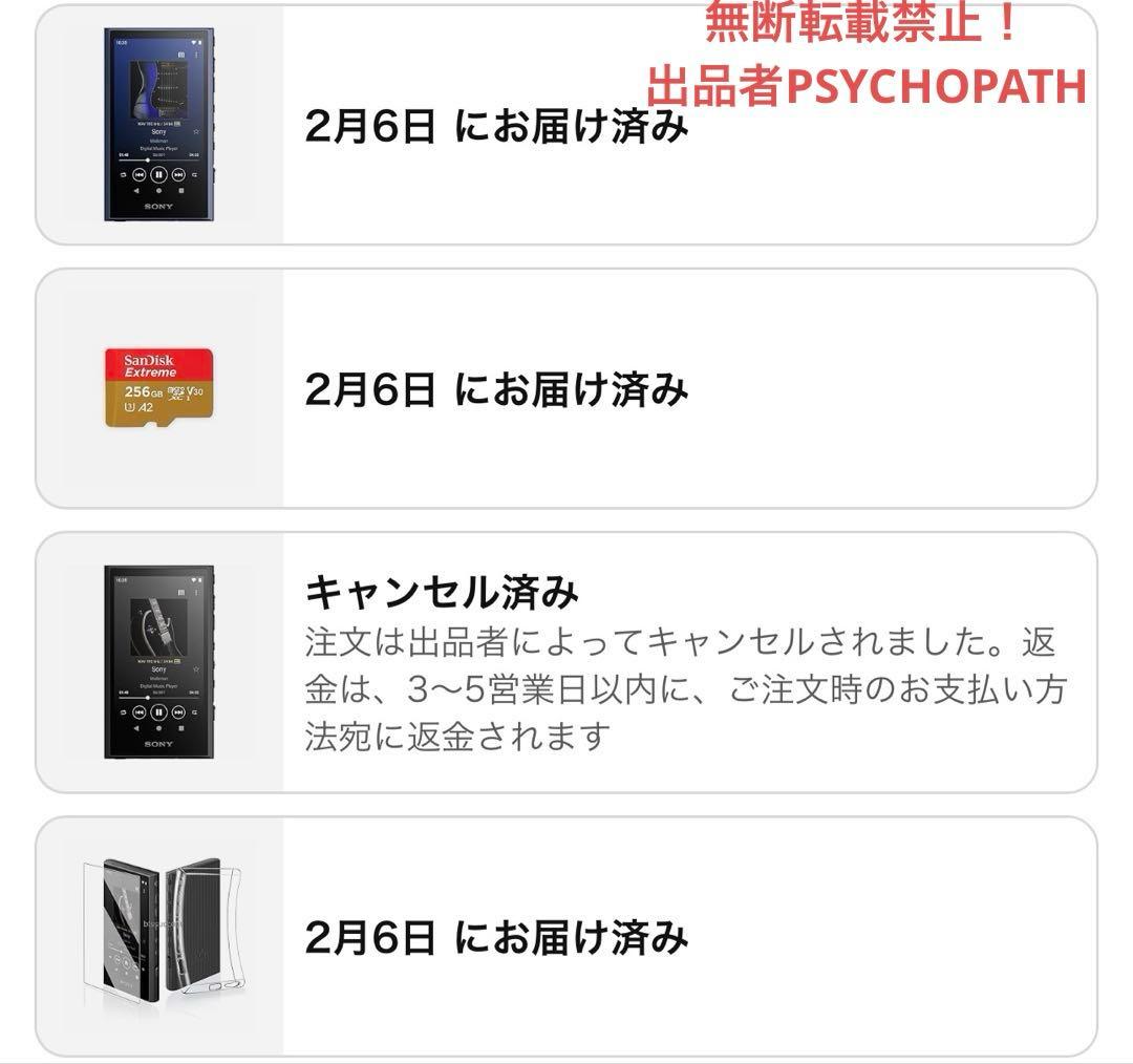 SONY NW-A307 64GB フィルム・SanDisk SD256GB付