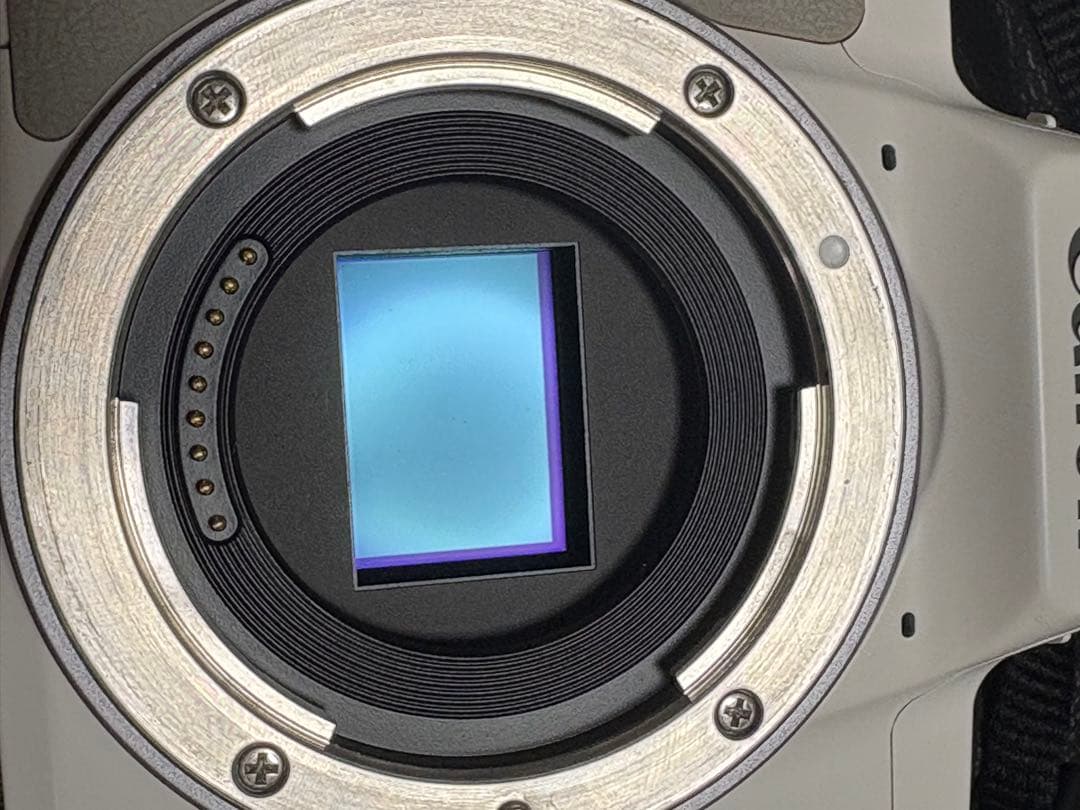 Canon EOS Kiss M2 ボディ　動作未確認