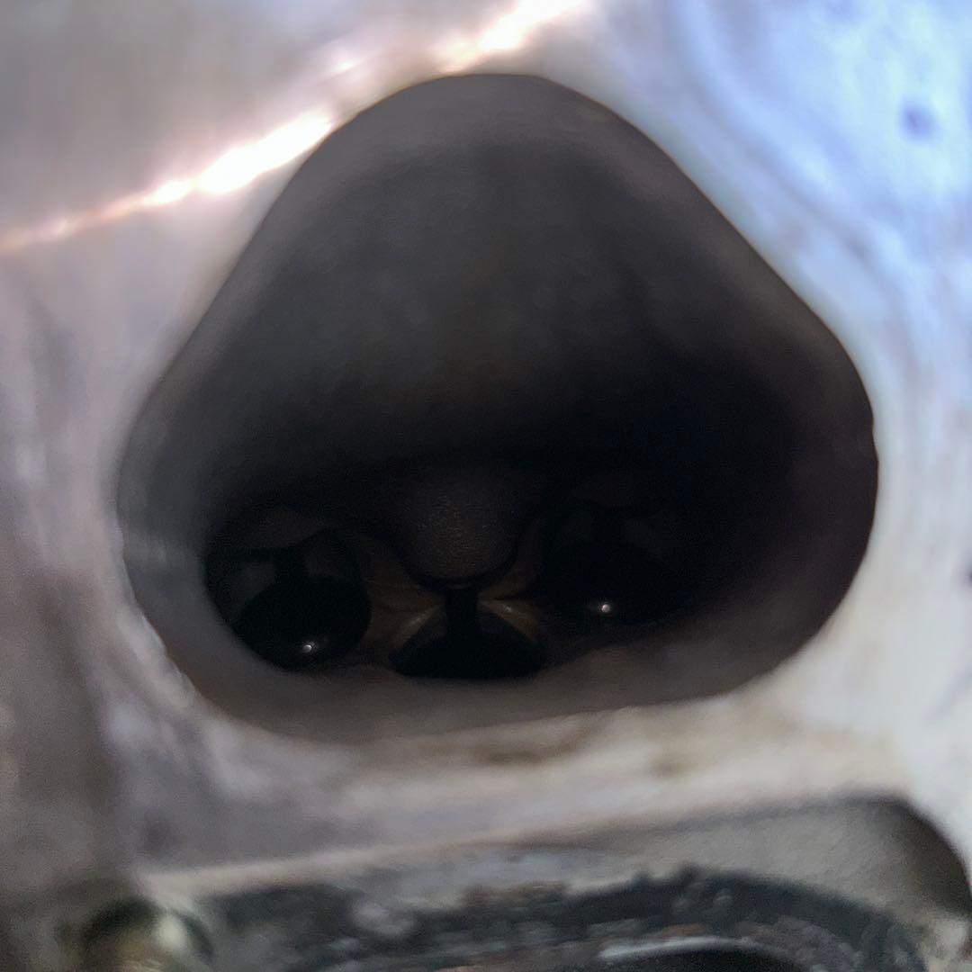 ae101 4AG 5バルブ　20バルブ　腰上　エンジン　部品取り