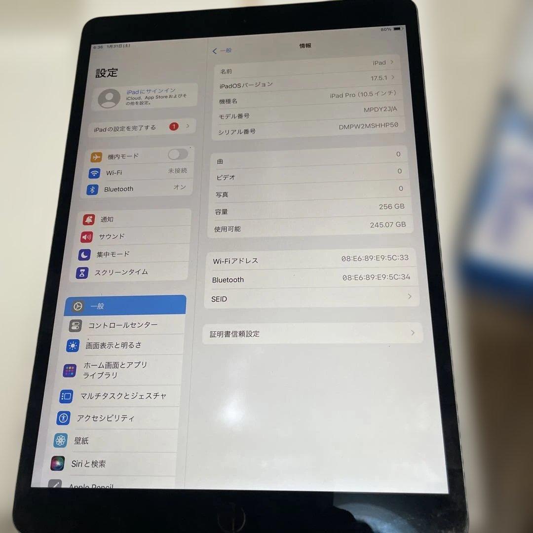 こ*ち様 Apple iPad Pro (10.5インチ) 256GB