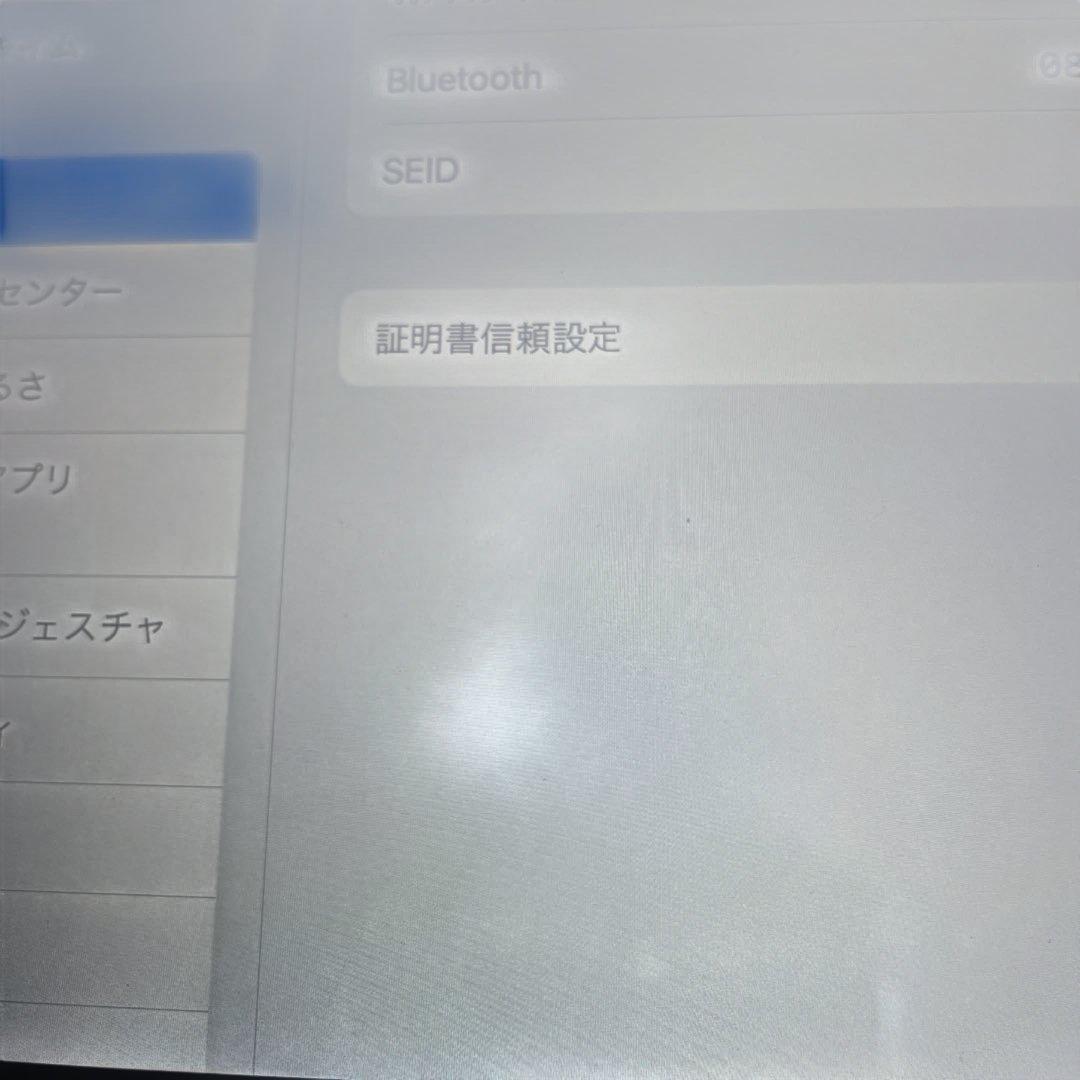 こ*ち様 Apple iPad Pro (10.5インチ) 256GB