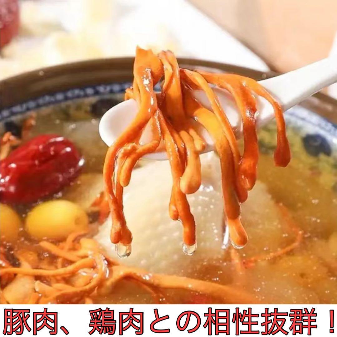 リクエスト出品　特大なつめ、蓮の実、松の実、白きくらげ、さなぎ茸。ガブリエル様！