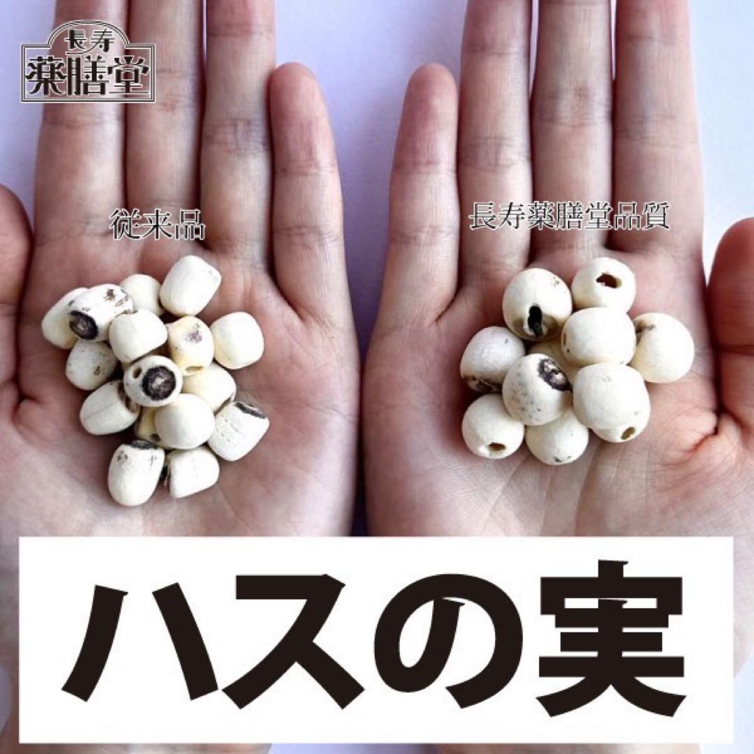 リクエスト出品　特大なつめ、蓮の実、松の実、白きくらげ、さなぎ茸。ガブリエル様！