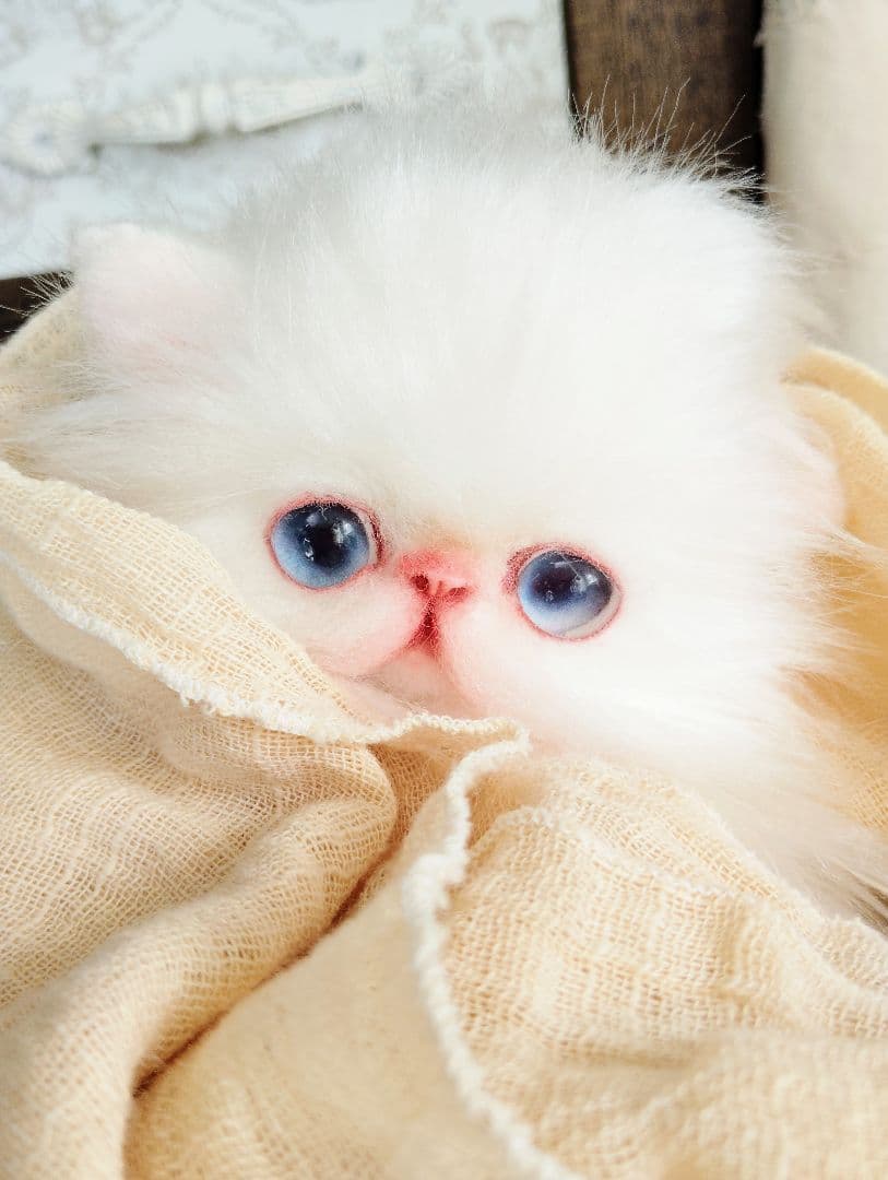 エキゾチックロングヘア♡子猫のミイちゃん♡アートドール♡ぬいぐるみ♡