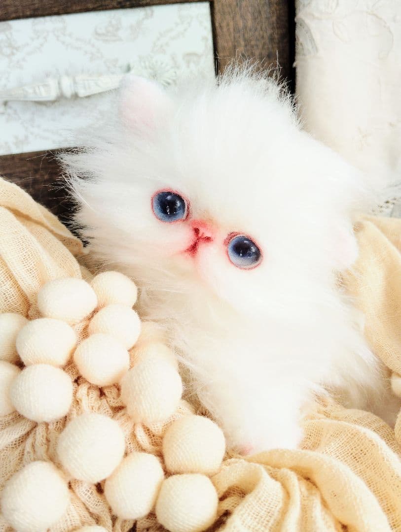 エキゾチックロングヘア♡子猫のミイちゃん♡アートドール♡ぬいぐるみ♡