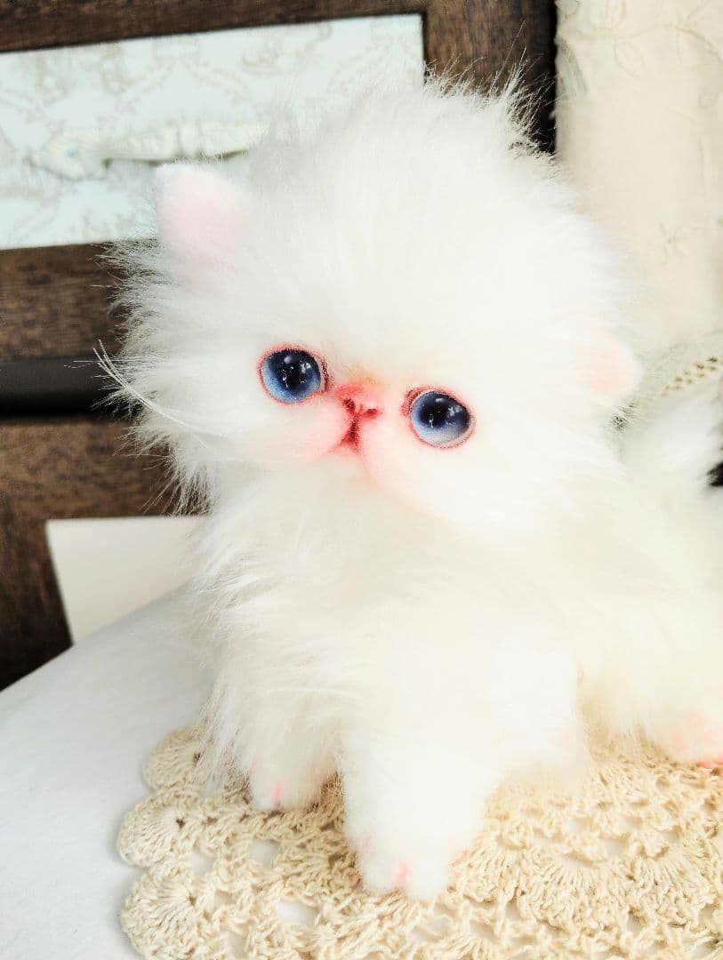 エキゾチックロングヘア♡子猫のミイちゃん♡アートドール♡ぬいぐるみ♡