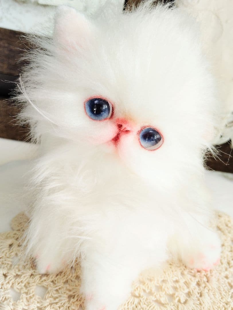 エキゾチックロングヘア♡子猫のミイちゃん♡アートドール♡ぬいぐるみ♡