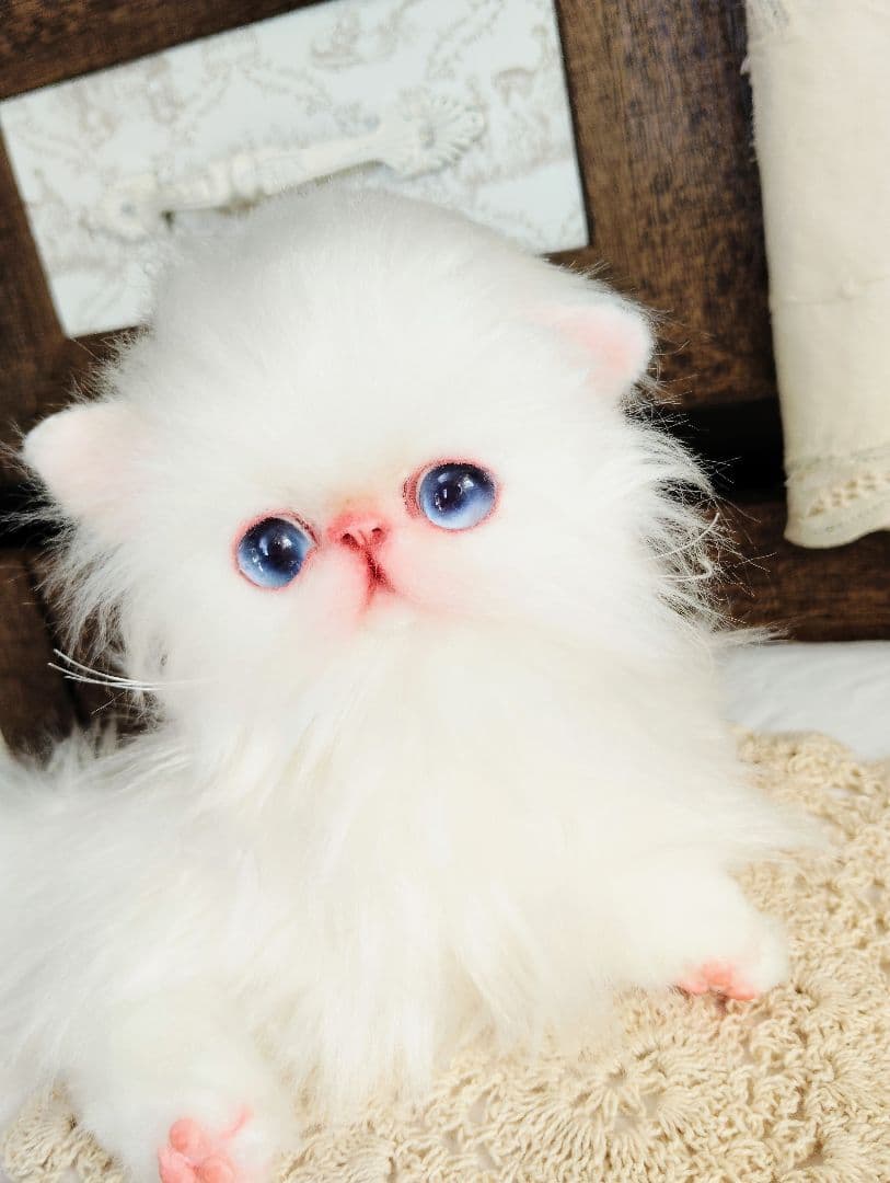 エキゾチックロングヘア♡子猫のミイちゃん♡アートドール♡ぬいぐるみ♡