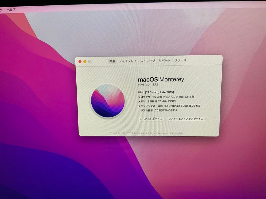 ひ*ろ様 Apple iMac 21.5 inch Late 2015 （ジャン