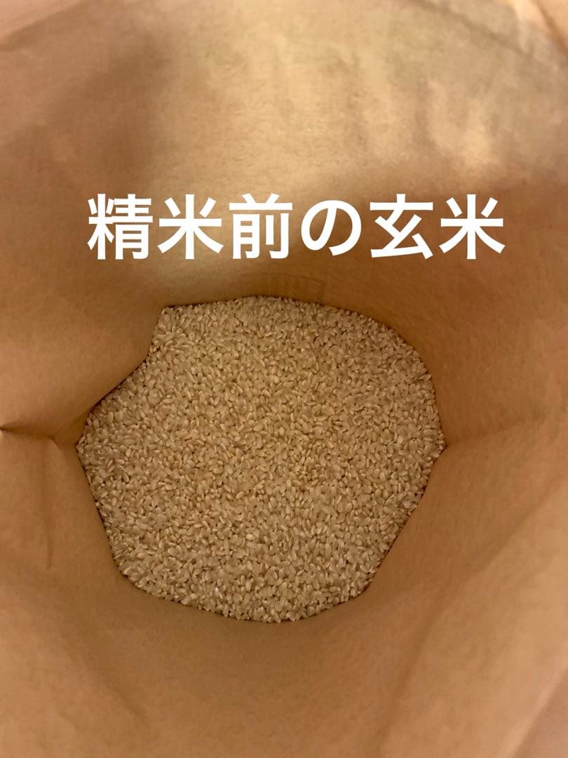 令和7年度産　新米ヒノヒカリ　玄米10kg(送料込)減農薬のお米
